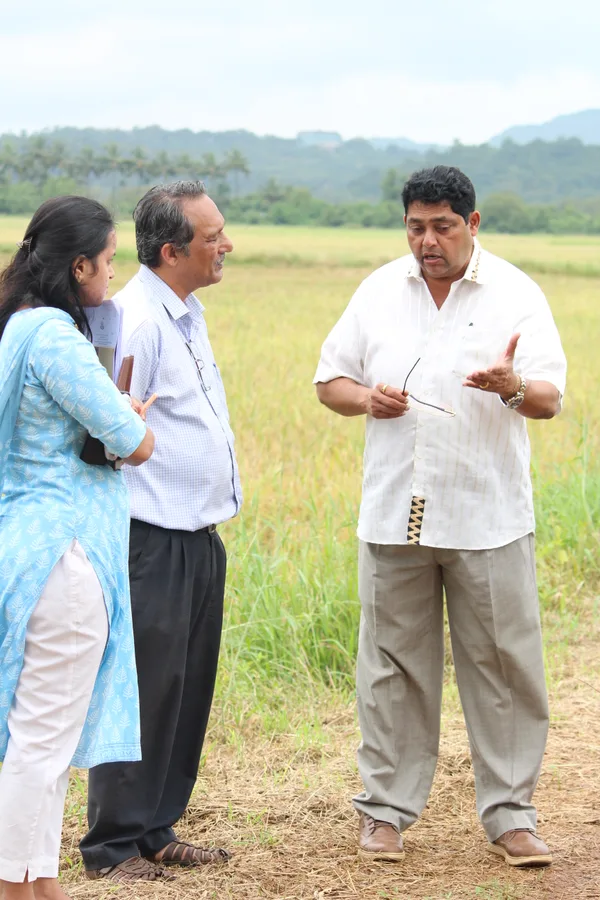 Aleixo Reginaldo Lourenco reviewing paddy cultivation in Curtorim fields